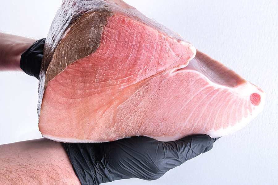 Тунець Bluefin